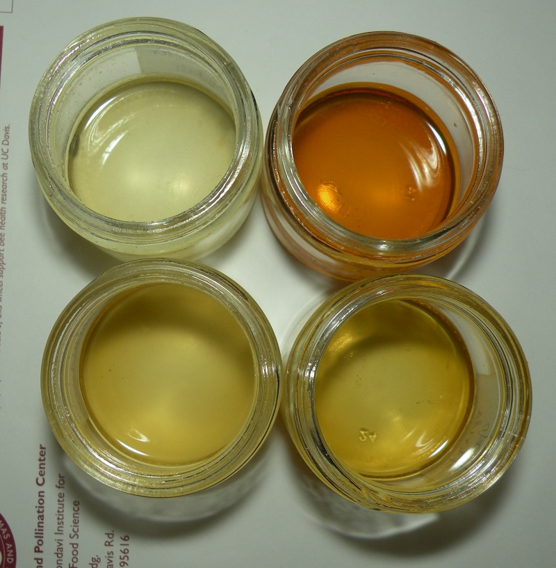 Four varietal honeys. Top row left to right: white clover (Utah), meadowfoam (Oregon); bottom row: orange blossom (California), tupelo (Florida).