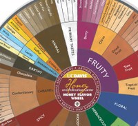 HoneyFlavorWheel