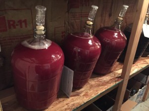 Plum Crazy during fermentation